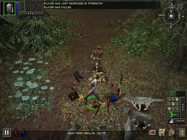 Download DUNGEON SIEGE - Abandonware Games