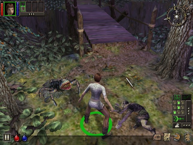 Download DUNGEON SIEGE - Abandonware Games